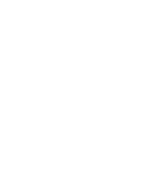 Financial Services